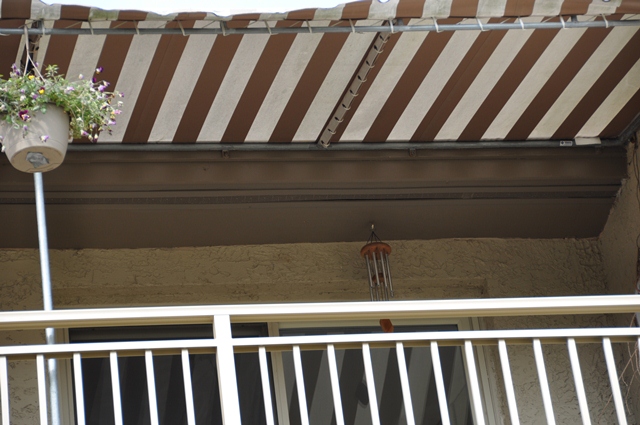 20101129bluff55bld8pic020.jpg